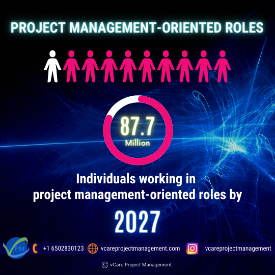 Project Management-Oriented Roles