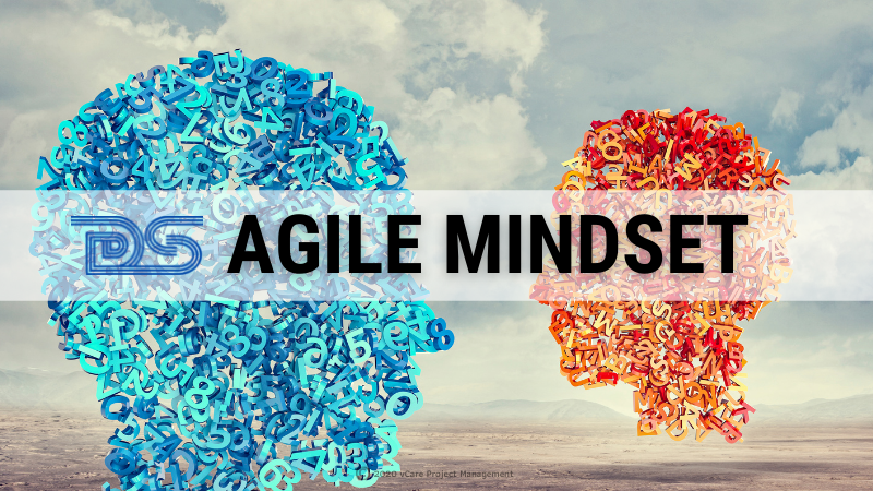 The Agile Mindset