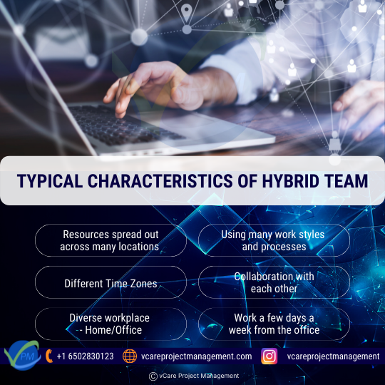 Typical characteristics of Hybrid Team