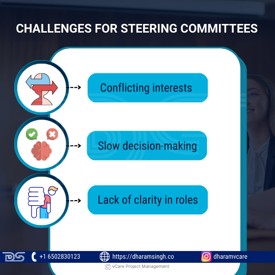 Challenges for Steering Committees