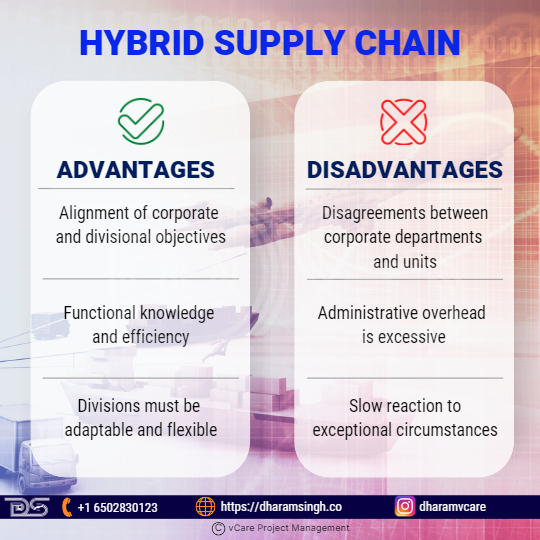 Hybrid Supply Chain - Advantages and Disadvantages
