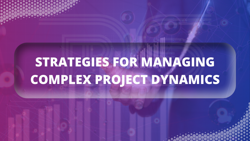 Strategies for Managing Complex Project Dynamics