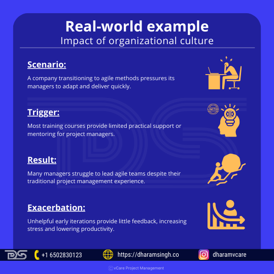 Real-world example: impact of organizational culture