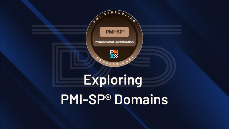 PMI-SP Domains | Key Areas for Project Scheduling Success | vCare Project Management