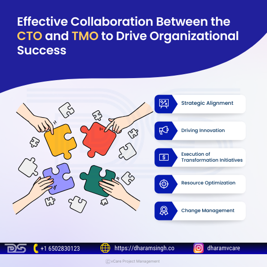 The CTO and TMO collaborate on strategic alignment, innovation, transformation execution, resource optimization, and change management to ensure successful technology integration, efficient operations, and organizational adaptability.